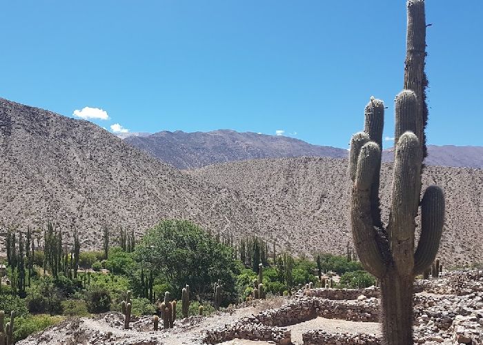 Pucar� de Tilcara - Qu� hacer en Tilcara