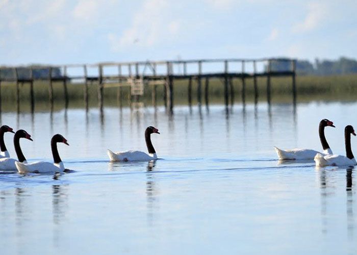 Laguna Kakel Huincul - Qu� hacer en Maip�