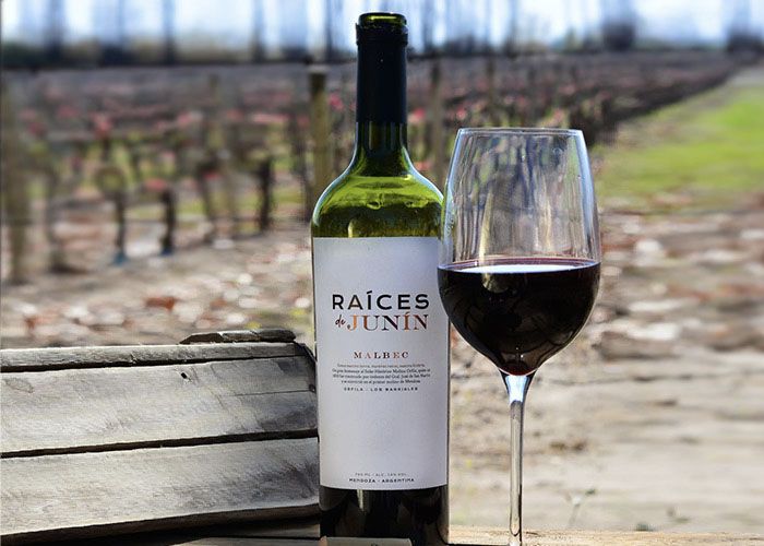 Enoturismo en Bodegas Regionalea - Qu� hacer en Jun�n (Mendoza)