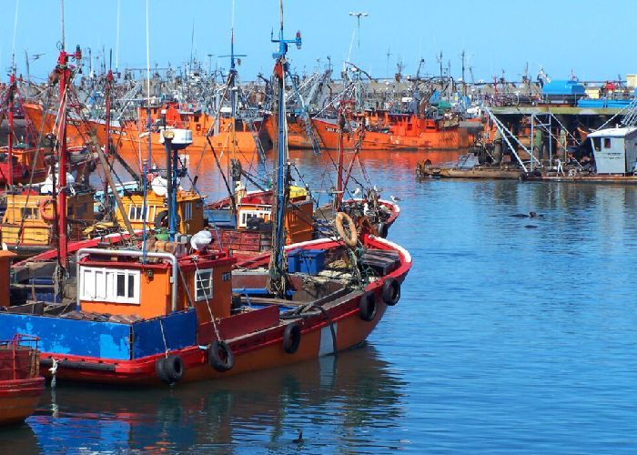 Visita el Puerto de Mar del Plata - Qu� hacer en Mar del Plata