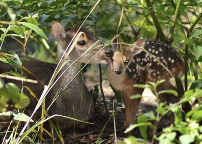 Parque Bot�nico Municipal Bar�n Sch�ell - Qu� hacer en San Salvador de Jujuy