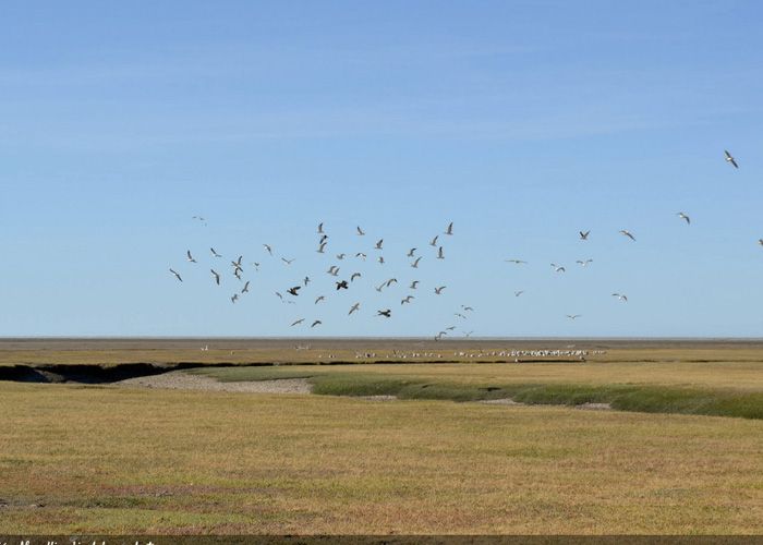 Recorrer la Bah�a San Sebasti�n - Qu� hacer en Rio Grande