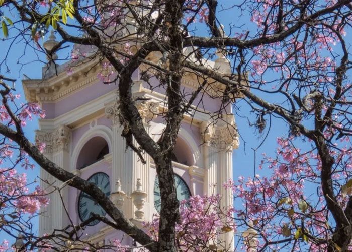Visitar la Catedral de Salta - Qu� hacer en Salta