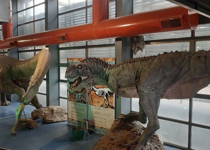 Museo Patag�nico de Ciencias Naturales Juan Carlos Salgado - Qu� hacer en General Roca