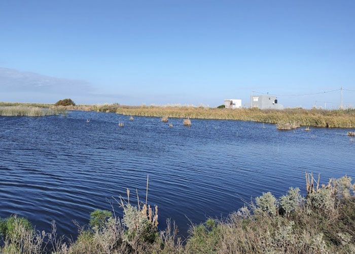 La Alb�fera - Qu� hacer en Reta, Balneario
