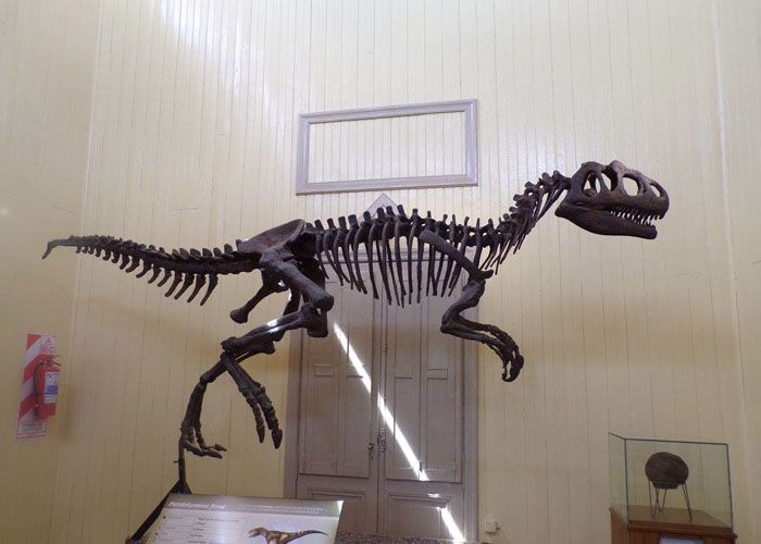 Museo Jacobacci - Qu� hacer en San Antonio Oeste