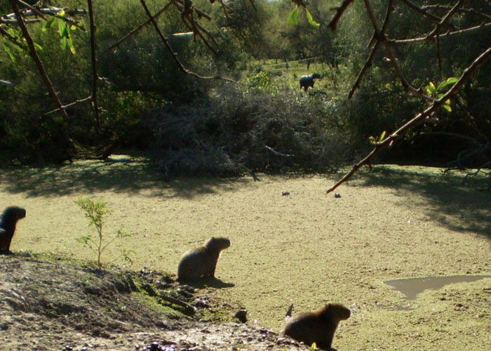 Reserva Natural La Chinita - Qu� hacer en Villaguay