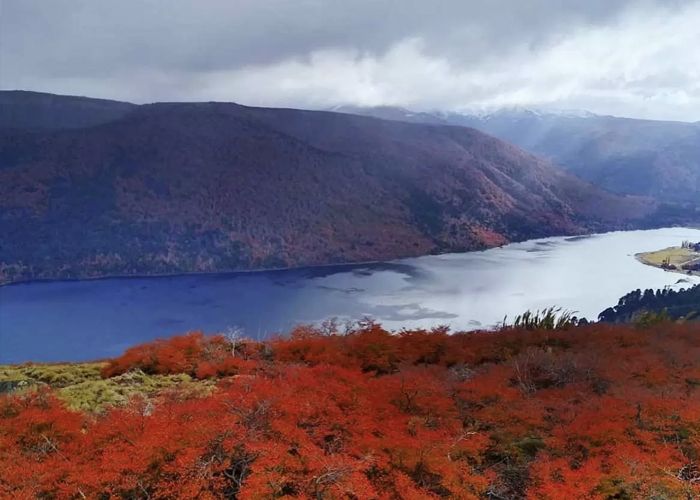 R�o Alumin� - Qu� hacer en Villa Pehuenia