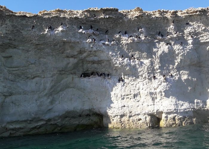 Proyecto Iris - Qu� hacer en Puerto Madryn