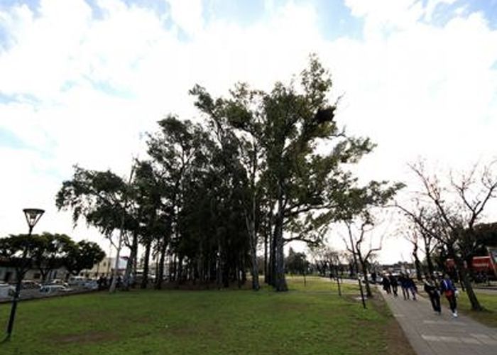 Paseo de los Inmigrantes - Qu� hacer en Villa Adelina