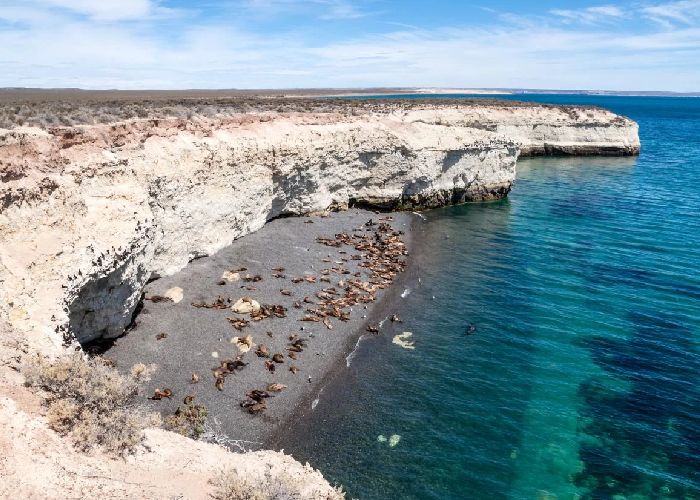 Pen�nsula Vald�s - Qu� hacer en Puerto Madryn