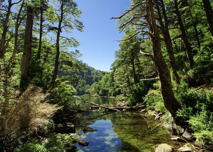 Parque Nacional Huerquehue - Qu� hacer en Puc�n