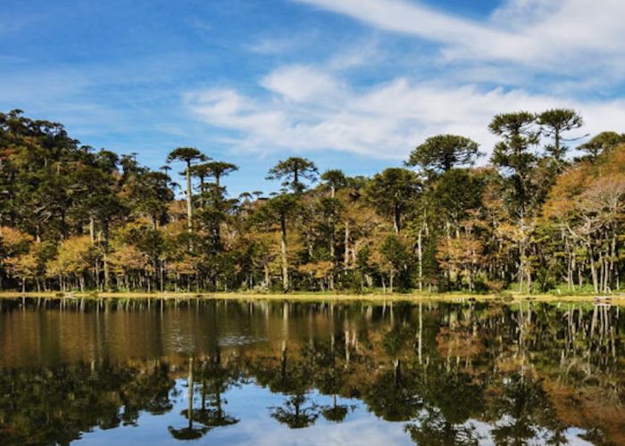 Santuario el Ca�i - Qu� hacer en Puc�n