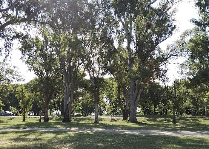 Parque Sur - Qu� hacer en Reconquista