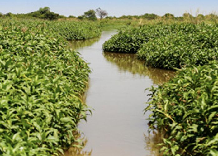 Reserva Los Tres Cerros - Qu� hacer en Rosario