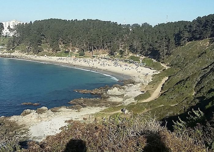 Playa El Canelo, Algarrobo - Qu� hacer en Algarrobo