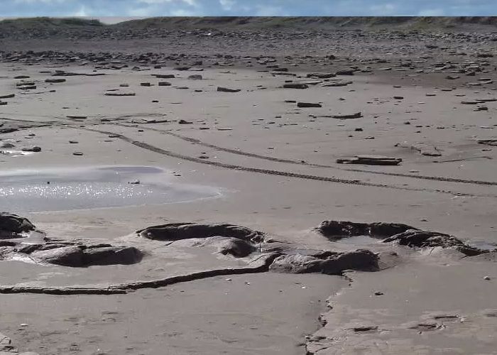  Reserva Natural Pehuen-C� - Qu� hacer en Monte Hermoso