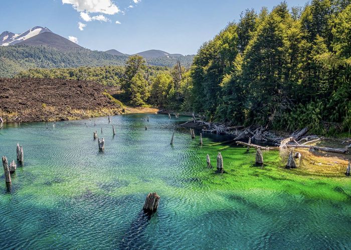 Parque Nacional Conguill�o - Qu� hacer en Melipeuco