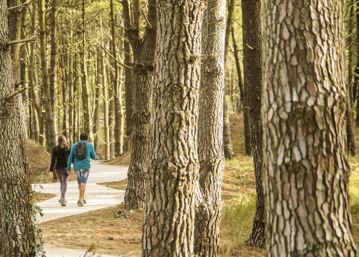 Sendero de Av. Parque de los Pioneros - Qu� hacer en Pinamar