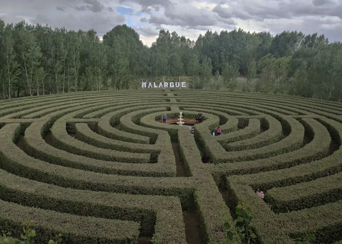 Laberintos de Carmona - Qu� hacer en Malarg�e