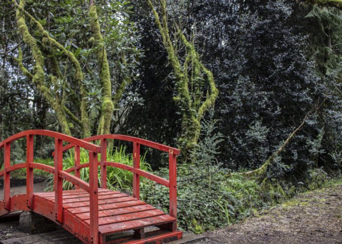 Jard�n Bot�nico - Qu� hacer en Valdivia