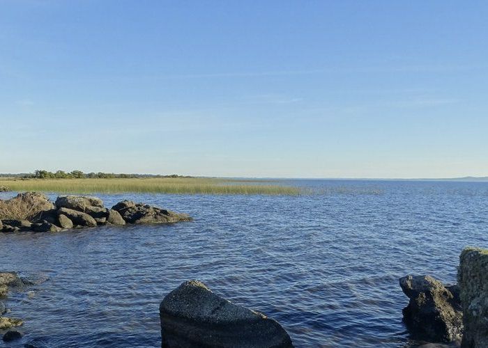 Paseo a la Laguna Negra - Qu� hacer en Punta del Diablo