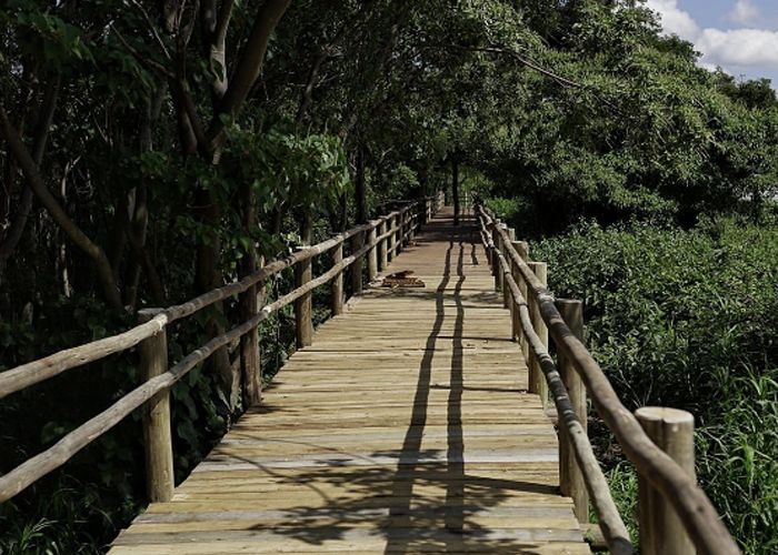 Islote Curup� - Qu� hacer en Paran�