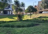 Placita Honda. Que hacer en Rafaela
