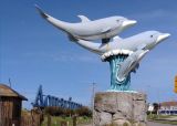 Aquarium. Que hacer en Mar del Plata
