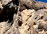 Camino a la Garganta del Diablo. Que hacer en Maimar�