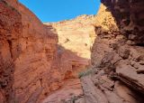 Visitar Quebrada de las Conchas. Que hacer en Cafayate