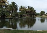 Parque General San Martín. Que hacer en Pehuajó