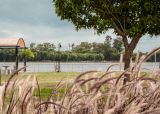 Visitar la nueva Costanera. Que hacer en Campana