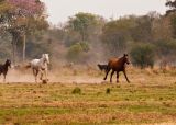 Turismo Rural. Que hacer en Villa Angela