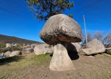 El hongo. Que hacer en Embalse