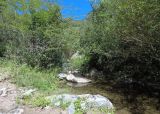 Reserva Natural Vaquer�as. Que hacer en Huerta Grande