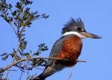 Visita la Reserva natural . Que hacer en Villa Rumipal