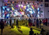 Fiesta Nacional de la Pera. Que hacer en Allen