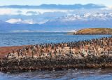 Canal Beagle. Que hacer en Ushuaia