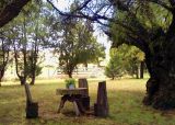 Turismo Rural. Que hacer en Coronel Pringles