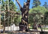 Visita la Plaza José Hernández. Que hacer en Villa General Belgrano