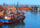 Visita el Puerto de Mar del Plata. Que hacer en Mar del Plata
