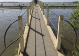 Disfrutar de la Laguna de Navarro. Que hacer en Navarro