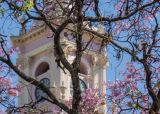 Visitar la Catedral de Salta. Que hacer en Salta