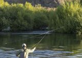 Pesca Deportiva. Que hacer en Río Colorado