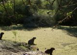 Reserva Natural La Chinita. Que hacer en Villaguay