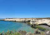 Reserva Lober�a de Punta Loma. Que hacer en Puerto Madryn