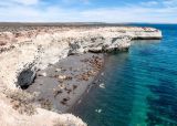 Pen�nsula Vald�s. Que hacer en Puerto Madryn