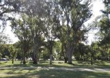 Parque Sur. Que hacer en Reconquista