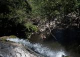 Reserva Natural la Cascada. Que hacer en Santa Rosa de Calamuchita